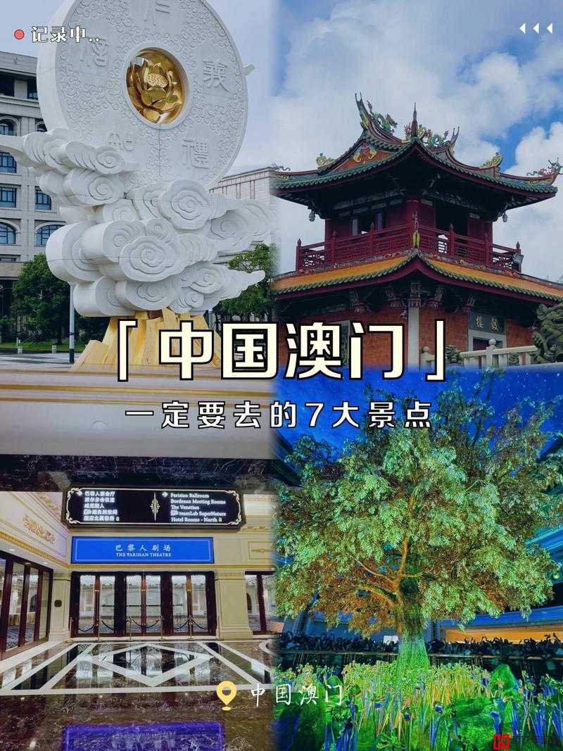 成品网站 W灬源码 1377 澳门的独特魅力与精彩呈现